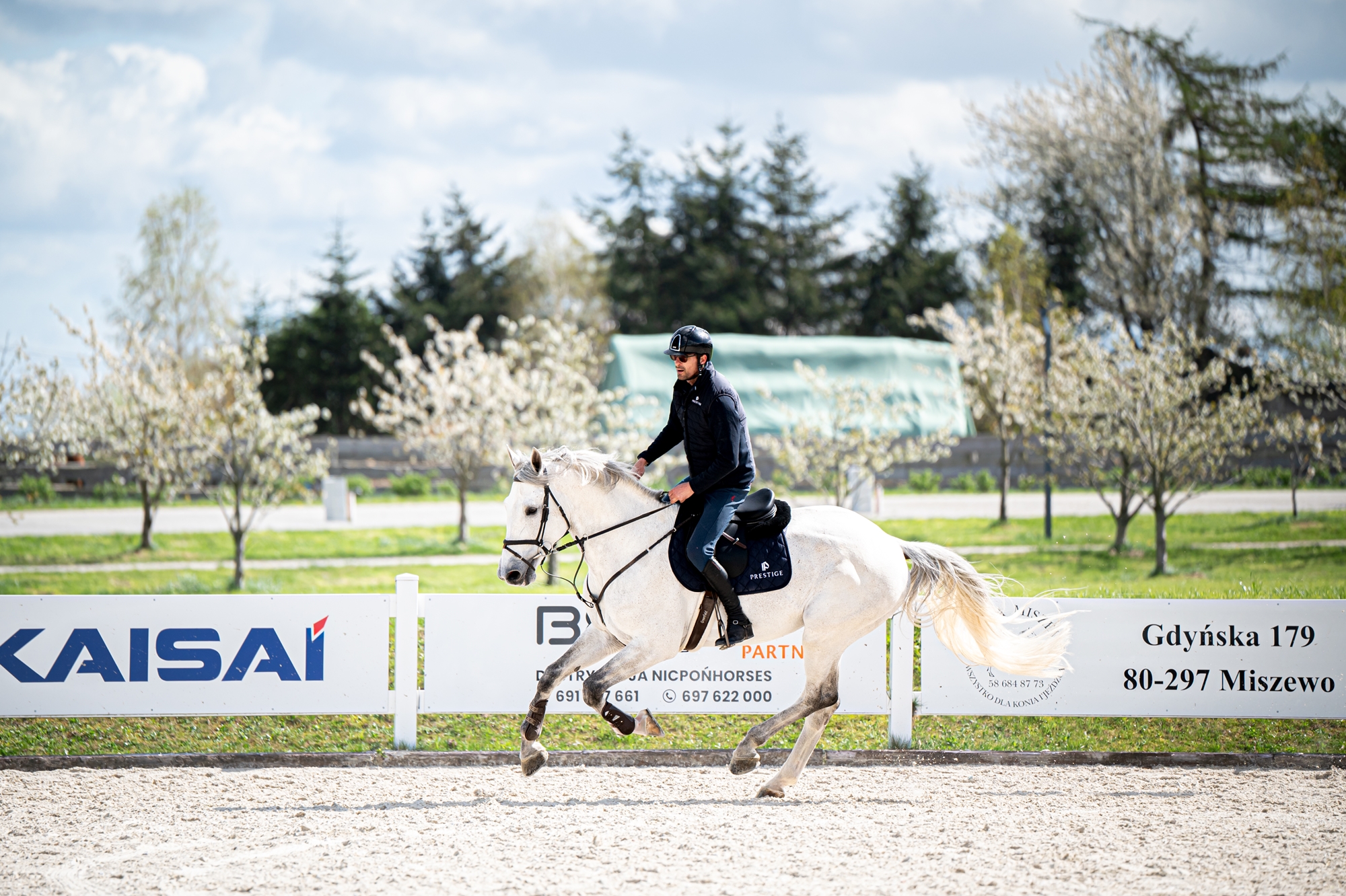 stajnia_barlomino_skj_prestige_italia